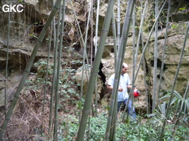 Thierry Mongés dans l'effondrement de la galerie d'entrée de Zhulingdong 竹林洞 qui est colonisé par les bambous (Guizhou 贵州省, Qiannan 黔南, Pingtang 平塘).