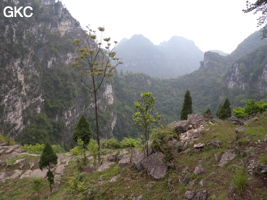 La grande doline de XIwotuo 细窝坨 (vu depuis son bord nord) (Guizhou 贵州省, Qiannan 黔南, Pingtang 平塘).