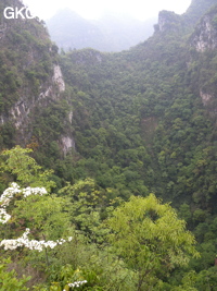 La grande doline de XIwotuo 细窝坨 (vu depuis son bord nord) (Guizhou 贵州省, Qiannan 黔南, Pingtang 平塘).