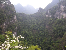 La grande doline de XIwotuo 细窝坨 (vu depuis son bord nord) (Guizhou 贵州省, Qiannan 黔南, Pingtang 平塘).