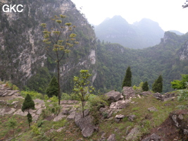 La grande doline de XIwotuo 细窝坨 (vu depuis son bord nord) (Guizhou 贵州省, Qiannan 黔南, Pingtang 平塘).