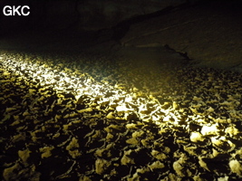 Fentes de dessiccation dans l'argile du sol de la galerie de la grotte de Zhulingdong 竹林洞 (Guizhou 贵州省, Qiannan 黔南, Pingtang 平塘).