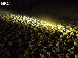 Fentes de dessiccation dans l'argile du sol de la galerie de la grotte de Zhulingdong 竹林洞 (Guizhou 贵州省, Qiannan 黔南, Pingtang 平塘).