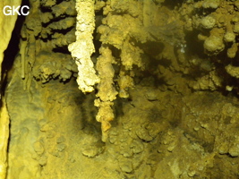 Petites stalactites dans la grotte de Zhulingdong 竹林洞 (Guizhou 贵州省, Qiannan 黔南, Pingtang 平塘).