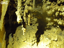 Petites stalactites dans la grotte de Zhulingdong 竹林洞 (Guizhou 贵州省, Qiannan 黔南, Pingtang 平塘).