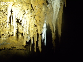 Bouquet de petites stalactites avec en blanc une reprise récente du concrétionement dans la grotte de Zhulingdong 竹林洞 (Guizhou 贵州省, Qiannan 黔南, Pingtang 平塘).