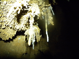 Bouquet de petites stalactites avec en blanc une reprise récente du concrétionement dans la grotte de Zhulingdong 竹林洞 (Guizhou 贵州省, Qiannan 黔南, Pingtang 平塘).