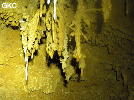 Bouquet de petites stalactites avec en blanc une reprise récente du concrétionement dans la grotte de Zhulingdong 竹林洞 (Guizhou 贵州省, Qiannan 黔南, Pingtang 平塘).