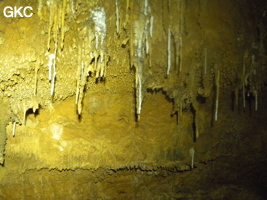 Bouquet de petites stalactites avec en blanc une reprise récente du concrétionement dans la grotte de Zhulingdong 竹林洞 (Guizhou 贵州省, Qiannan 黔南, Pingtang 平塘).