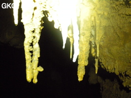 Bouquet de petites stalactites avec en blanc une reprise récente du concrétionement dans la grotte de Zhulingdong 竹林洞 (Guizhou 贵州省, Qiannan 黔南, Pingtang 平塘).