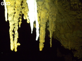 Bouquet de petites stalactites avec en blanc une reprise récente du concrétionement dans la grotte de Zhulingdong 竹林洞 (Guizhou 贵州省, Qiannan 黔南, Pingtang 平塘).