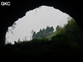 Shanwangdong