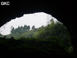 Shanwangdong