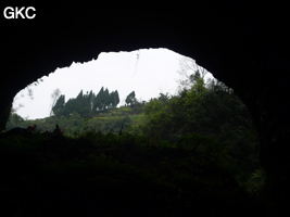 Shanwangdong