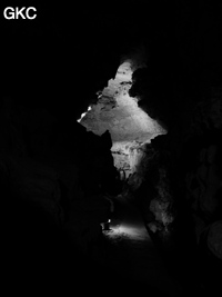 Profil de galerie dans la Grotte de Dafengdong 大风洞 - réseau de Shuanghedongqun 双河洞 - (Suiyang 绥阳,  Zunyi Shi 遵义市, Guizhou 贵州省)