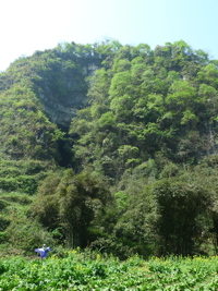 Yinhedong