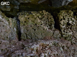 Dans l'entrée de la Grotte de Shanwangshangdong 山王上洞 - réseau de Shuanghedongqun 双河洞 - la morphologie des remplissages pose questions (vers de vase ... ?) ( Suiyang 绥阳, Zunyi Shi 遵义市, Guizhou 贵州省, Chine 中国 )