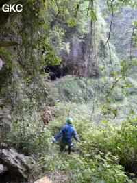 L'entrée de la Grotte de Shanwangdong 山王洞 vu depuis l'entrée de Shanwangshangdong 山王上洞 - réseau de Shuanghedongqun 双河洞 - (Suiyang 绥阳, Zunyi Shi 遵义市, Guizhou 贵州省, Chine 中国)