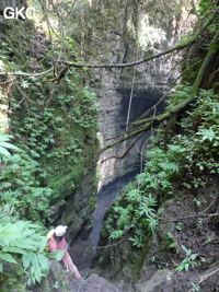 Dans le réseau de Mawangdong 麻王洞 -Lingshandong 灵山洞, descente du puits d'entrée de Qicaidong - Yonghedong 七彩洞-永和洞 (Guizhou 贵州省, Zunyi 遵義, Zheng'an 正安, Fuyan 郛鄢).