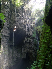 Dans le réseau de Mawangdong 麻王洞 -Lingshandong 灵山洞, descente du puits d'entrée de Qicaidong - Yonghedong 七彩洞-永和洞 (Guizhou 贵州省, Zunyi 遵義, Zheng'an 正安, Fuyan 郛鄢).