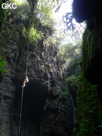 Dans le réseau de Mawangdong 麻王洞 -Lingshandong 灵山洞, descente du puits d'entrée de Qicaidong - Yonghedong 七彩洞-永和洞 (Guizhou 贵州省, Zunyi 遵義, Zheng'an 正安, Fuyan 郛鄢).