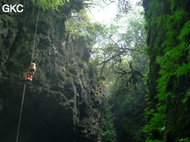 Dans le réseau de Mawangdong 麻王洞 -Lingshandong 灵山洞, descente du puits d'entrée de Qicaidong - Yonghedong 七彩洞-永和洞 (Guizhou 贵州省, Zunyi 遵義, Zheng'an 正安, Fuyan 郛鄢).