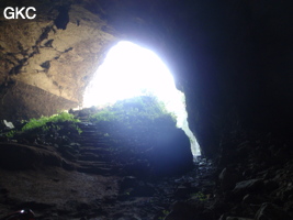 Shanwangdong