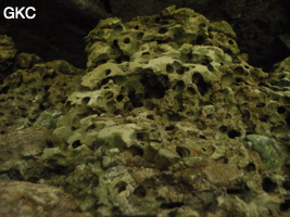 Dans l'entrée de la Grotte de Shanwangshangdong 山王上洞 - réseau de Shuanghedongqun 双河洞 - la morphologie des remplissages pose questions (vers de vase ... ?) ( Suiyang 绥阳, Zunyi Shi 遵义市, Guizhou 贵州省, Chine 中国 )