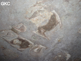Shanwangshangdong