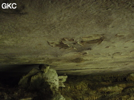 Coquillages ? dans la strate de plafond de l'entrée de la Grotte de Shanwangshangdong 山王上洞 - réseau de Shuanghedongqun 双河洞 - ( Suiyang 绥阳, Zunyi Shi 遵义市, Guizhou 贵州省, Chine 中国 )