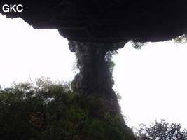 Le pont naturel de l'arche du dragon au pied de laquelle s'ouvre Longqiaogedong (Grotte de la pagode de l'arche du dragon) 龙桥阁洞 une entrée du réseau de Longnudong 龙女洞. (Shipin, Zheng'an 正安, Zunyi Shi 遵义市, Guizhou 贵州省, Chine 中国)