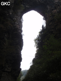 Le pont naturel de l'arche du dragon au pied de laquelle s'ouvre Longqiaogedong (Grotte de la pagode de l'arche du dragon) 龙桥阁洞 une entrée du réseau de Longnudong 龙女洞. (Shipin, Zheng'an 正安, Zunyi Shi 遵义市, Guizhou 贵州省, Chine 中国)