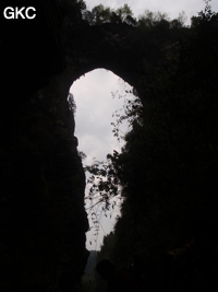 Le pont naturel de l'arche du dragon au pied de laquelle s'ouvre Longqiaogedong 龙桥阁洞 (Grotte de la pagode de l'arche du dragon) 龙桥阁洞 une entrée du réseau de Longnudong 龙女洞. (Shipin, Zheng'an 正安, Zunyi Shi 遵义市, Guizhou 贵州省, Chine 中国)