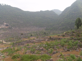 Chuandong
