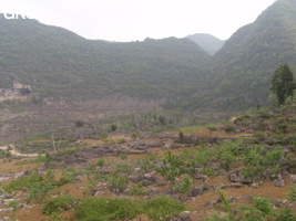 L'entrée sud-est de la grotte-tunnel de Chuandong - 穿洞, (Guizhou 贵州省, Qiannan 黔南, Pingtang 平塘).