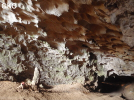 Coupoles de plafond dans la galerie d'entrée sud-est de la grotte-tunnel de Chuandong - 穿洞 (Guizhou 贵州省, Qiannan 黔南, Pingtang 平塘).