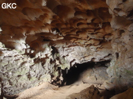 Coupoles de plafond dans la galerie d'entrée sud-est de la grotte-tunnel de Chuandong - 穿洞 (Guizhou 贵州省, Qiannan 黔南, Pingtang 平塘).