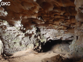 Coupoles de plafond dans la galerie d'entrée sud-est de la grotte-tunnel de Chuandong - 穿洞 (Guizhou 贵州省, Qiannan 黔南, Pingtang 平塘).