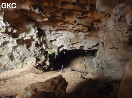 Coupoles de plafond dans la galerie d'entrée sud-est de la grotte-tunnel de Chuandong - 穿洞 (Guizhou 贵州省, Qiannan 黔南, Pingtang 平塘).