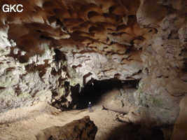 Coupoles de plafond dans la galerie d'entrée sud-est de la grotte-tunnel de Chuandong - 穿洞 (Guizhou 贵州省, Qiannan 黔南, Pingtang 平塘).