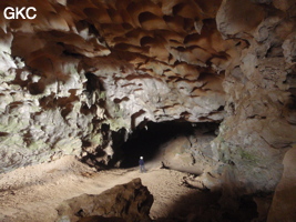 Coupoles de plafond dans la galerie d'entrée sud-est de la grotte-tunnel de Chuandong - 穿洞 (Guizhou 贵州省, Qiannan 黔南, Pingtang 平塘).