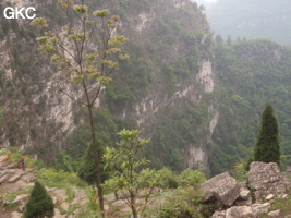 La grande doline de XIwotuo 细窝坨 (vu depuis son bord nord) (Guizhou 贵州省, Qiannan 黔南, Pingtang 平塘).