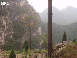 La grande doline de XIwotuo 细窝坨 (vu depuis son bord nord) (Guizhou 贵州省, Qiannan 黔南, Pingtang 平塘).