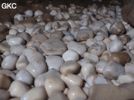 Pisolithes (pseudo ?) dans la grotte de Shuidong 水洞 (Qiannan 黔南, Pingtang 平塘, Guizhou 贵州省, Chine).
