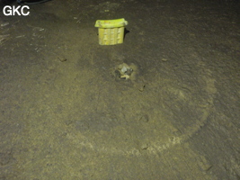 Cave ring (cercle de grotte) sur le sol argileux de la grotte de Shuidong 水洞 (Qiannan 黔南, Pingtang 平塘, Guizhou 贵州省, Chine).