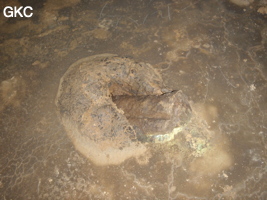 Vieux cratère d'impact de chute de concrétion dans le sol argileux de la grotte de Shuidong 水洞 (Qiannan 黔南, Pingtang 平塘, Guizhou 贵州省, Chine).