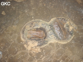 Vieux cratère d'impact de chute de concrétion dans le sol argileux de la grotte de Shuidong 水洞 (Qiannan 黔南, Pingtang 平塘, Guizhou 贵州省, Chine).