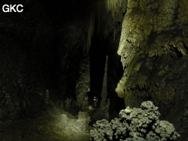 Concrétions dans la grotte de Shuidong 水洞 (Qiannan 黔南, Pingtang 平塘, Guizhou 贵州省, Chine).