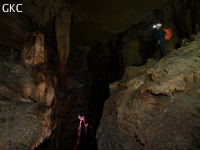 Grotte de Dafengdong 大风洞 - réseau de Shuanghedongqun 双河洞 - (Suiyang 绥阳,  Zunyi Shi 遵义市, Guizhou 贵州省)