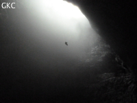 Spéléologue comme une araignée insignifiante, dans le vide du puits d'entrée de 175 m de la grotte de Yanwangdong (Grotte du roi des fantômes) 阎王洞 (Guizhou 贵州省, Qiannan 黔南, Pingtang 平塘).